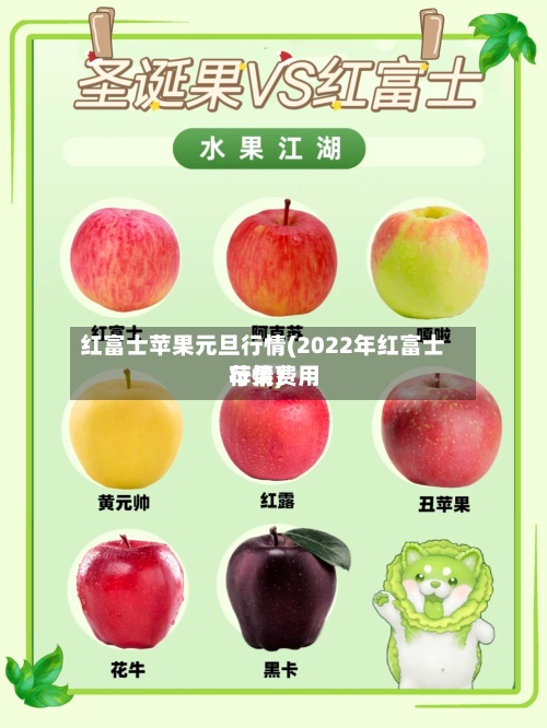 红富士苹果元旦行情(2022年红富士苹果费用行情)
