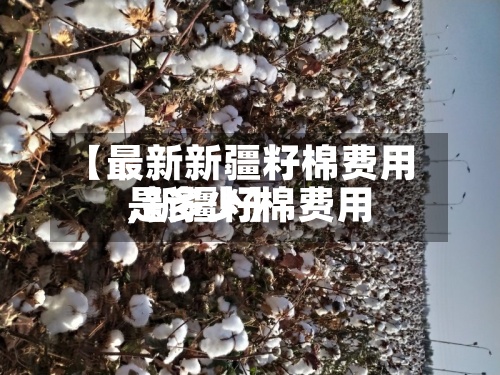 【最新新疆籽棉费用,新疆籽棉费用是多少】