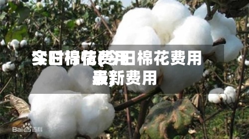 今日棉花费用实时行情(今日棉花费用最新费用表)