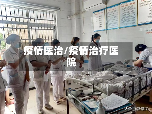 疫情医治/疫情治疗医院-第2张图片