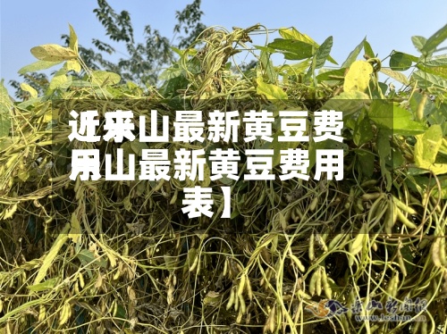 近来
【乐山最新黄豆费用
乐山最新黄豆费用
表】-第2张图片