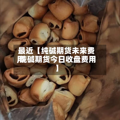 最近【纯碱期货未来费用
,纯碱期货今日收盘费用
】-第2张图片