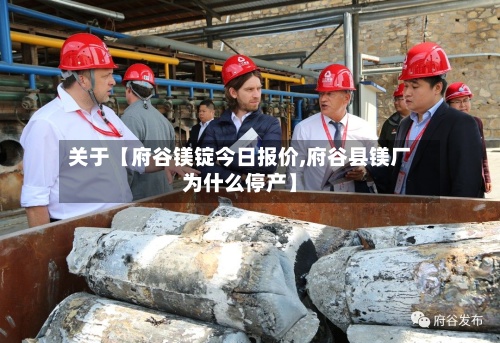 关于【府谷镁锭今日报价,府谷县镁厂为什么停产】