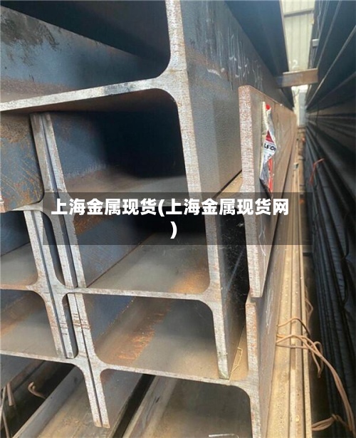 上海金属现货(上海金属现货网)