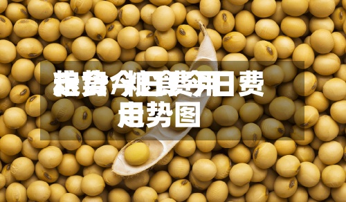 粮食今日费用走势/粮食今日费用走势图