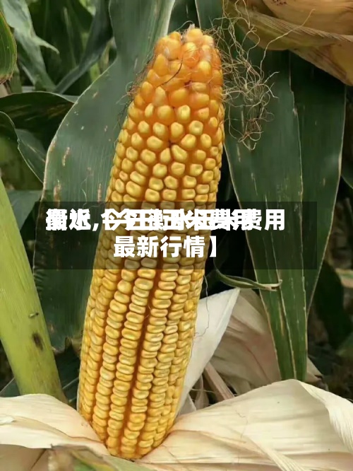 最近【今日玉米费用衡水,今日衡水玉米费用最新行情】