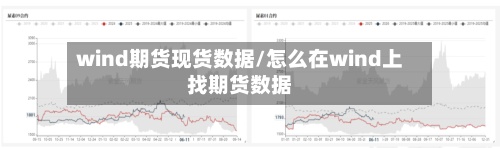 wind期货现货数据/怎么在wind上找期货数据-第3张图片