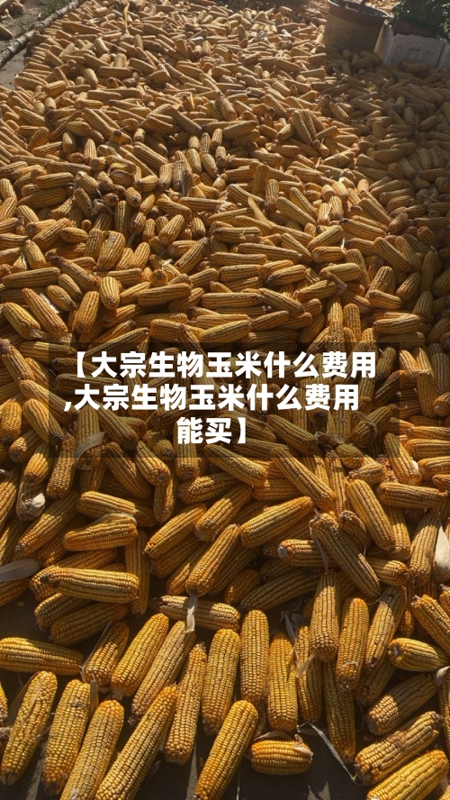 【大宗生物玉米什么费用,大宗生物玉米什么费用能买】
