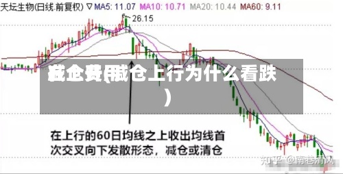 减仓费用在上升(减仓上行为什么看跌)
