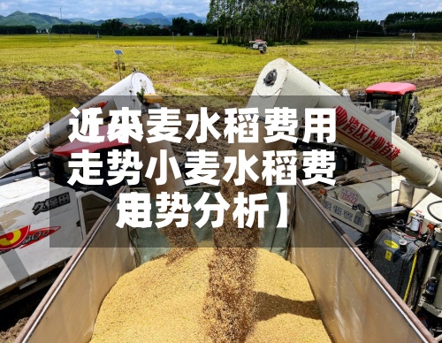 近来【小麦水稻费用走势小麦水稻费用走势分析】