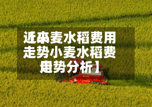 近来【小麦水稻费用走势小麦水稻费用走势分析】-第3张图片
