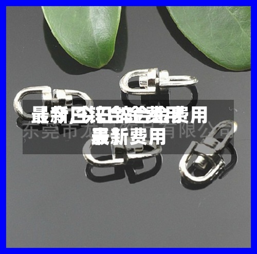 【今日锌合金费用
最新,今日锌合金费用
最新费用
表】-第2张图片
