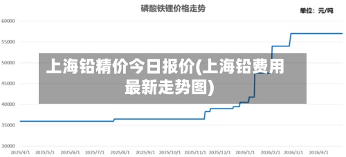 上海铅精价今日报价(上海铅费用最新走势图)-第2张图片