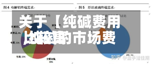 关于【纯碱费用
比较高
,纯碱的市场费用
】-第2张图片