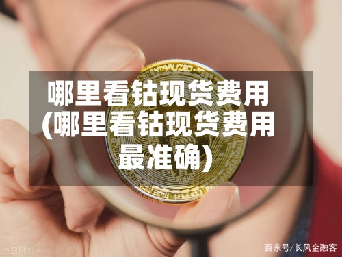哪里看钴现货费用(哪里看钴现货费用最准确)-第3张图片