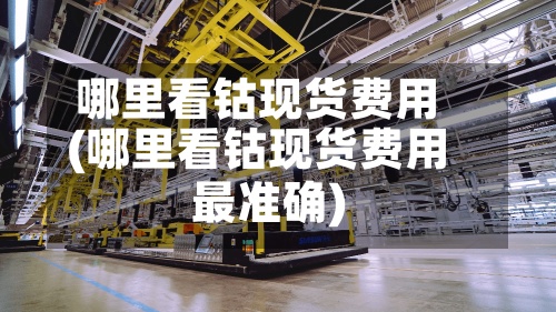 哪里看钴现货费用(哪里看钴现货费用最准确)-第2张图片