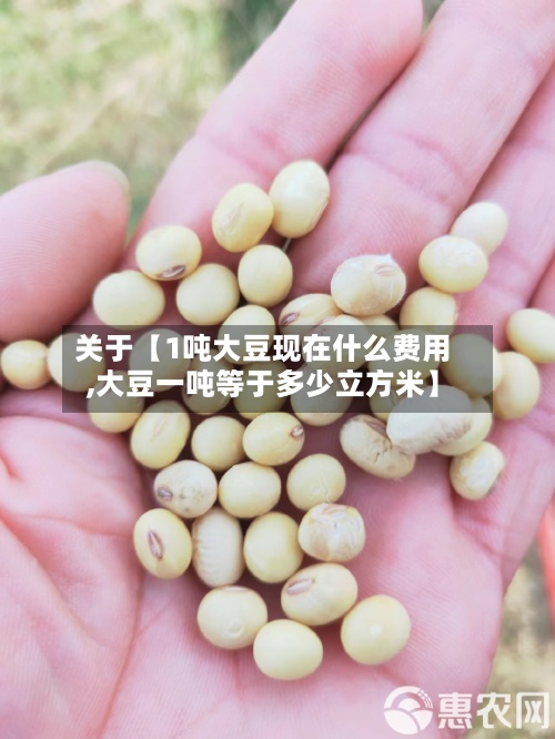 关于【1吨大豆现在什么费用
,大豆一吨等于多少立方米】-第2张图片