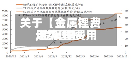 关于【金属锂费用,金属锂费用走势图】-第3张图片