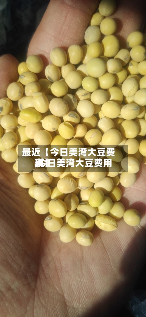 最近【今日美湾大豆费用,今日美湾大豆费用表】