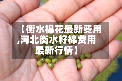 【衡水棉花最新费用,河北衡水籽棉费用最新行情】