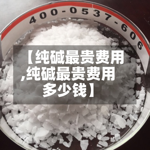 【纯碱最贵费用,纯碱最贵费用多少钱】