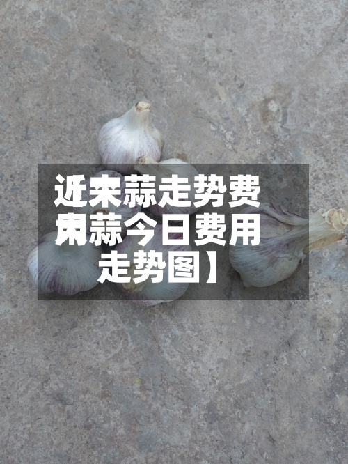 近来【大蒜走势费用大蒜今日费用走势图】