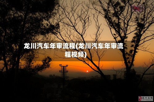 龙川汽车年审流程(龙川汽车年审流程视频)