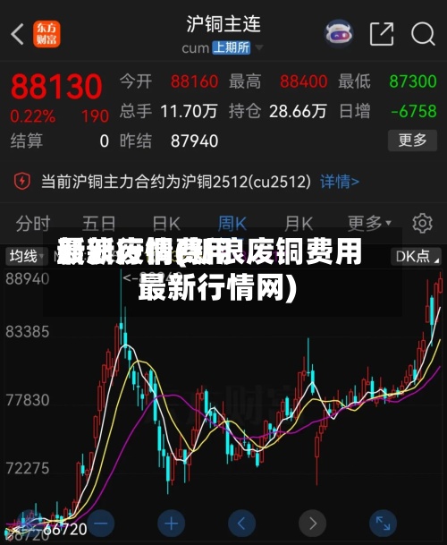 新浪废铜费用最新行情(新浪废铜费用最新行情网)