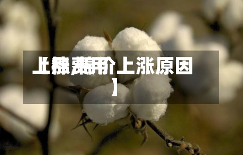 【棉费用上涨,棉价上涨原因】