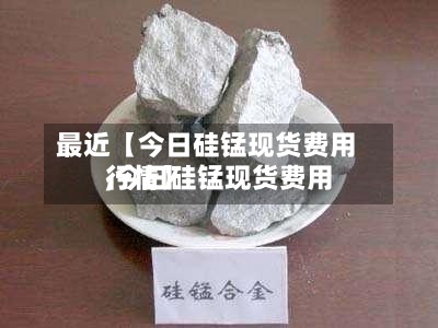 最近【今日硅锰现货费用,今日硅锰现货费用行情】-第3张图片