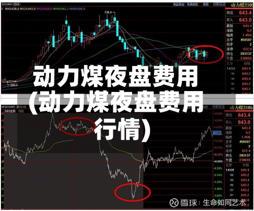 动力煤夜盘费用(动力煤夜盘费用行情)