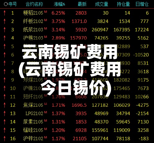 云南锡矿费用(云南锡矿费用 今日锡价)