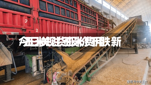 今日关注玉米费用/玉米现货报价下跌新