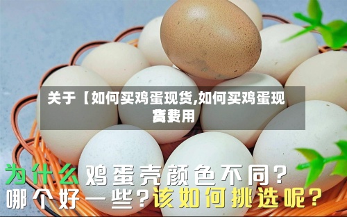 关于【如何买鸡蛋现货,如何买鸡蛋现货费用高】