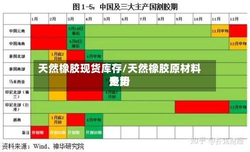 天然橡胶现货库存/天然橡胶原材料费用走势-第2张图片