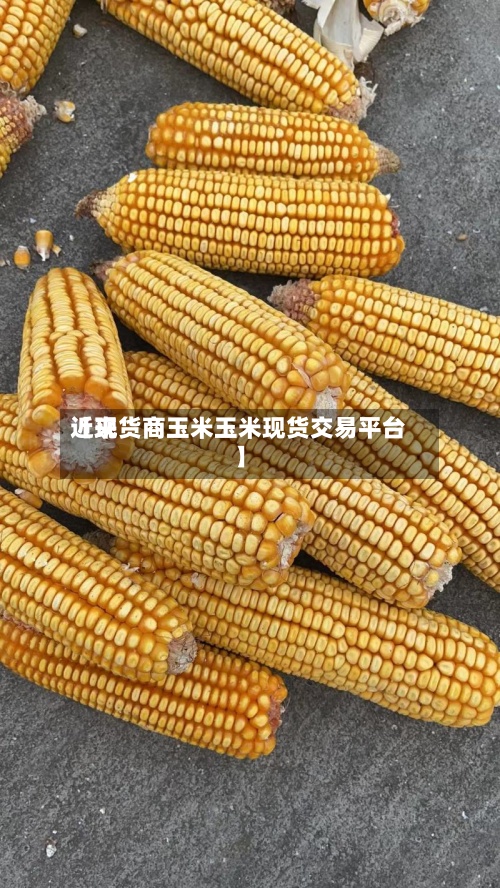 近来
【现货商玉米玉米现货交易平台】-第3张图片