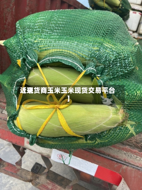 近来
【现货商玉米玉米现货交易平台】-第2张图片