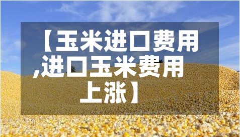【玉米进口费用,进口玉米费用上涨】-第2张图片