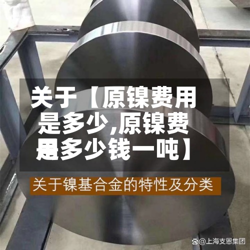 关于【原镍费用是多少,原镍费用是多少钱一吨】-第2张图片