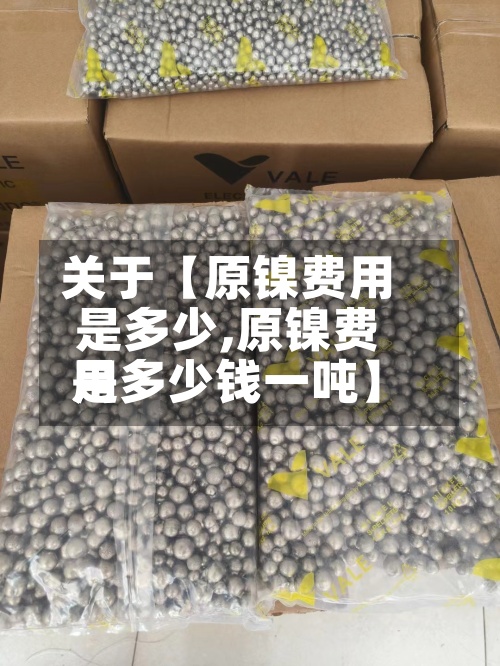 关于【原镍费用是多少,原镍费用是多少钱一吨】-第3张图片