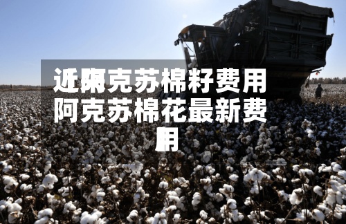 近来【阿克苏棉籽费用阿克苏棉花最新费用】-第2张图片
