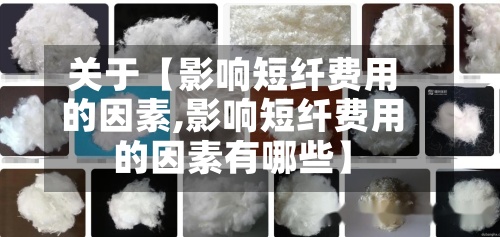 关于【影响短纤费用的因素,影响短纤费用的因素有哪些】