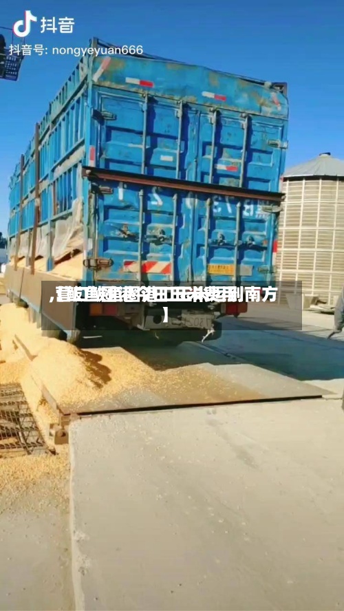 【鲅鱼圈港今日玉米费用,营口鲅鱼圈港口玉米运到南方】