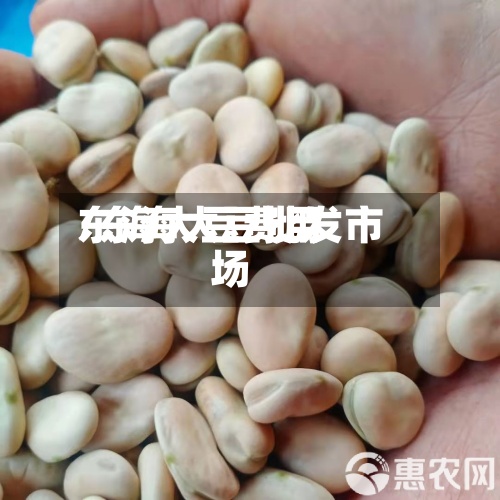 东海大豆费用/东海大豆批发市场-第2张图片