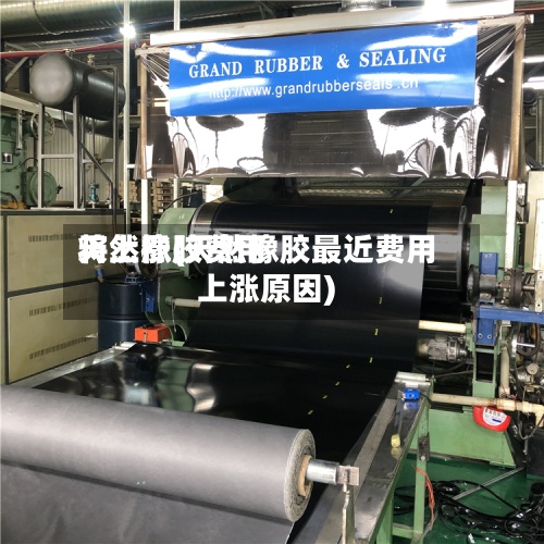 天然橡胶费用将上涨(天然橡胶最近费用上涨原因)-第2张图片