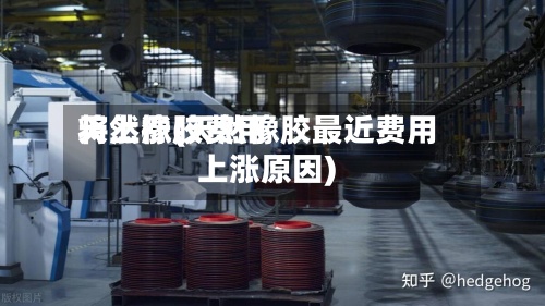 天然橡胶费用将上涨(天然橡胶最近费用上涨原因)-第3张图片