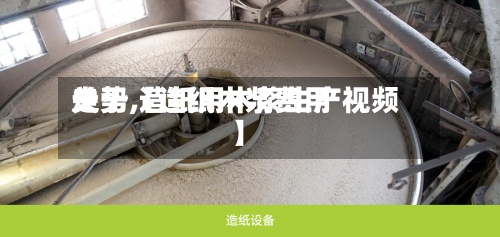 关于【造纸木浆费用走势,造纸用木浆生产视频】