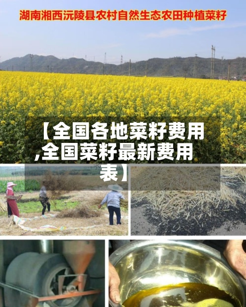 【全国各地菜籽费用,全国菜籽最新费用表】-第3张图片