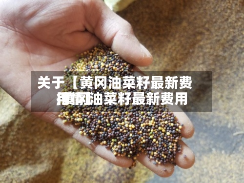 关于【黄冈油菜籽最新费用,黄冈油菜籽最新费用行情】