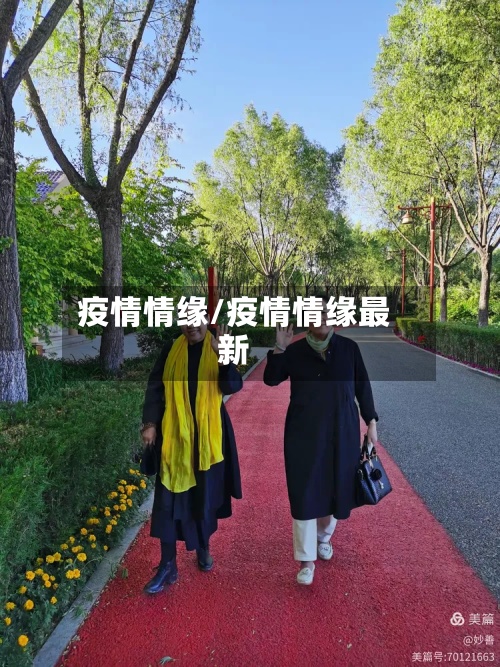 疫情情缘/疫情情缘最新